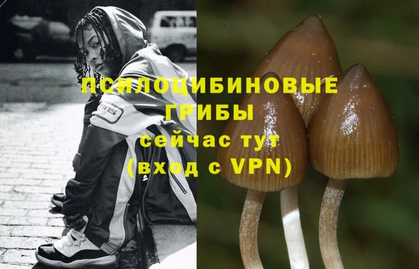 круглые Богородск