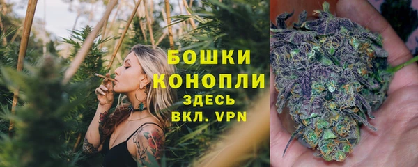 мет Богданович