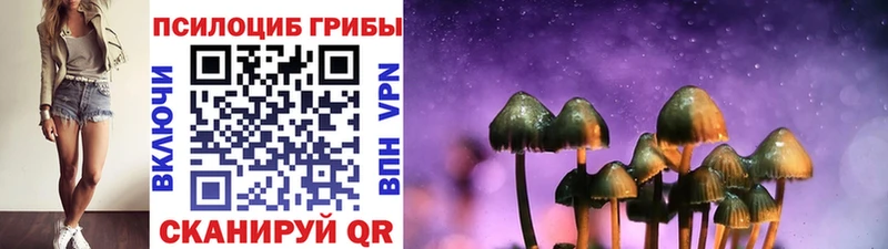 цена наркотик  Навашино  Галлюциногенные грибы Psilocybine cubensis 